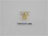 藏品(鉤弧紋豔苔蛾)的圖片